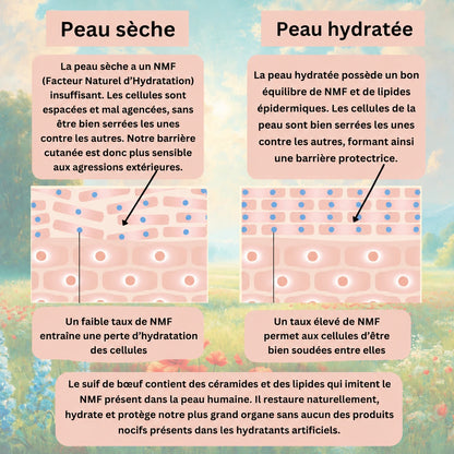 Baume Visage au Suif & Miel Brut